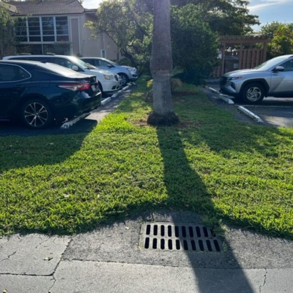 a clean property with a clean sewer drain