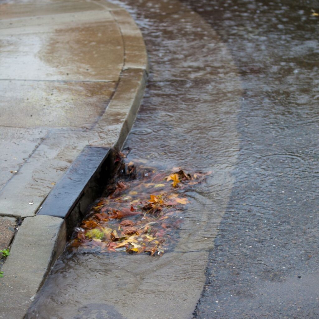 a clogged storm drain with standing water