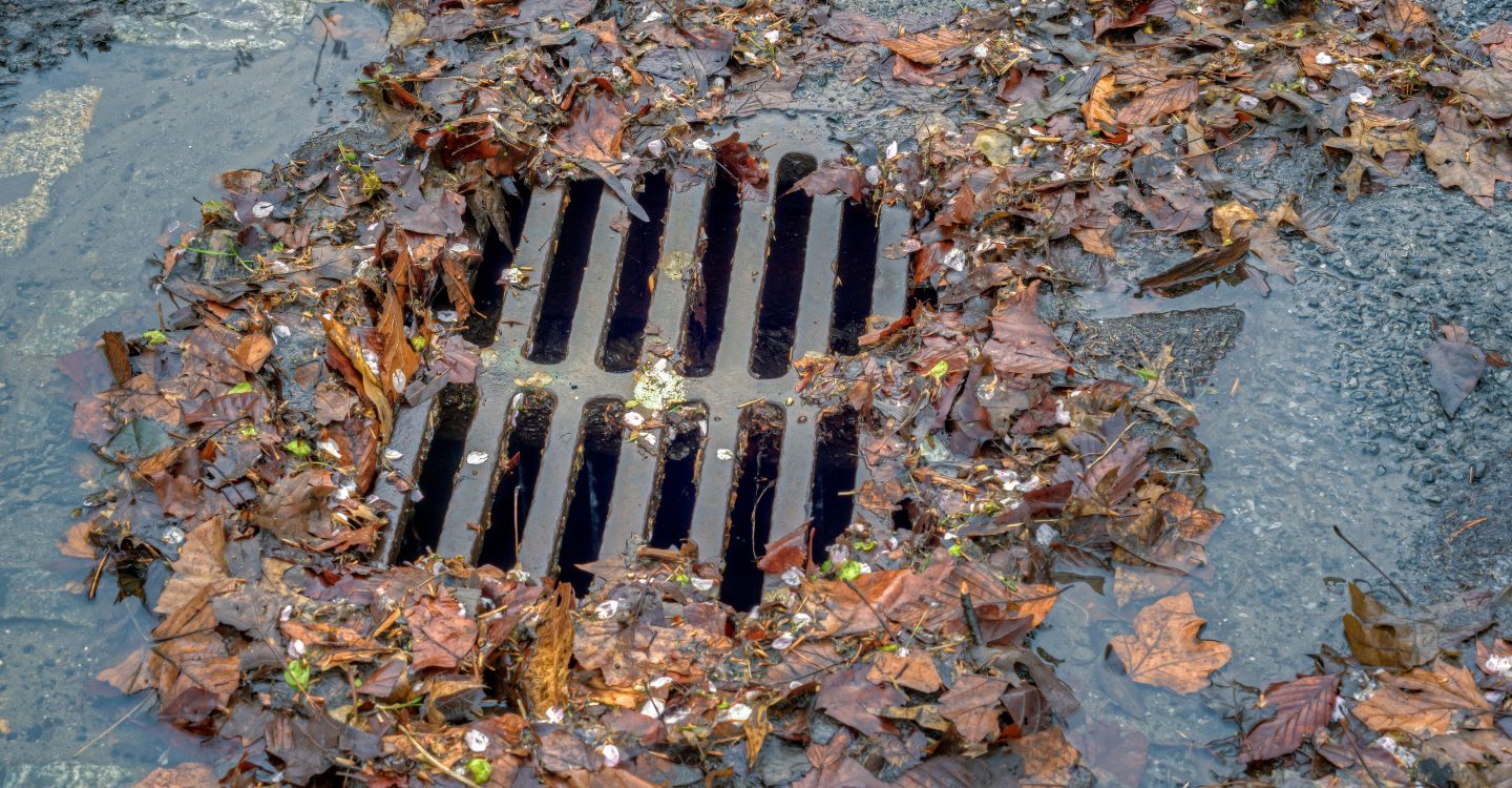 How Often Should You Clean a Storm Drain?