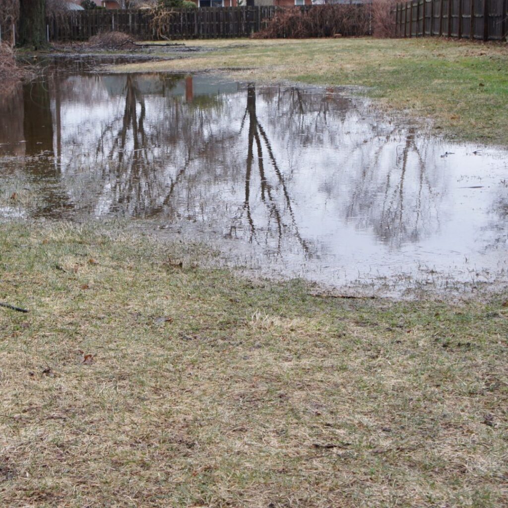 a flooded yard