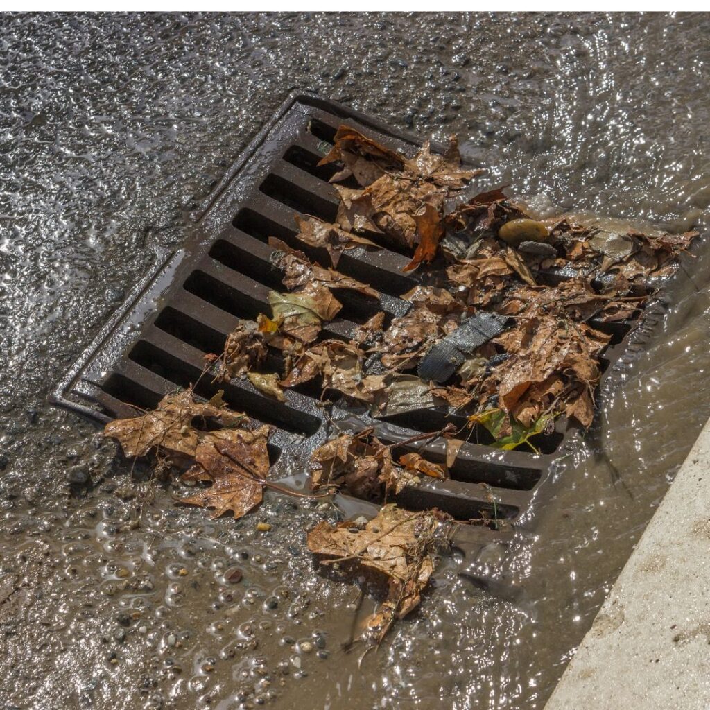 emergency storm drain cleaning