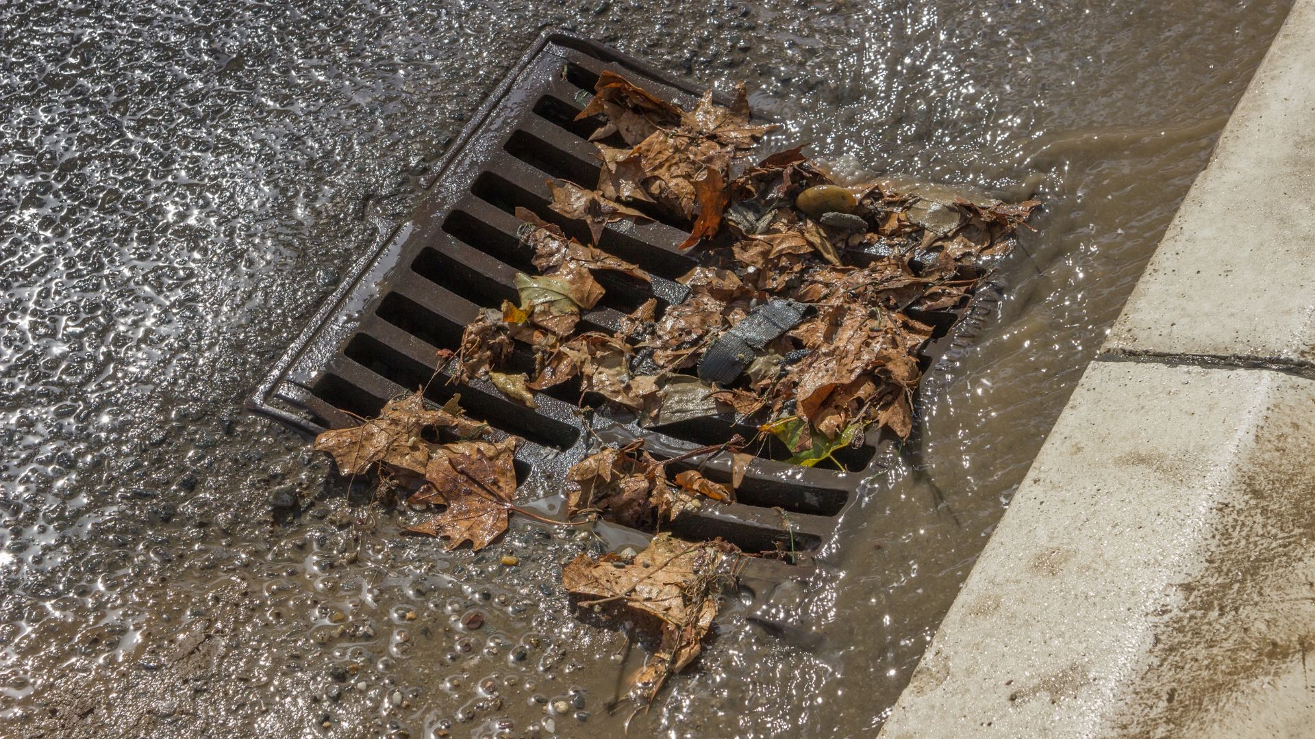 hero-Benefits-of-Our-Premier-Storm-Drain-Cleaning-Services