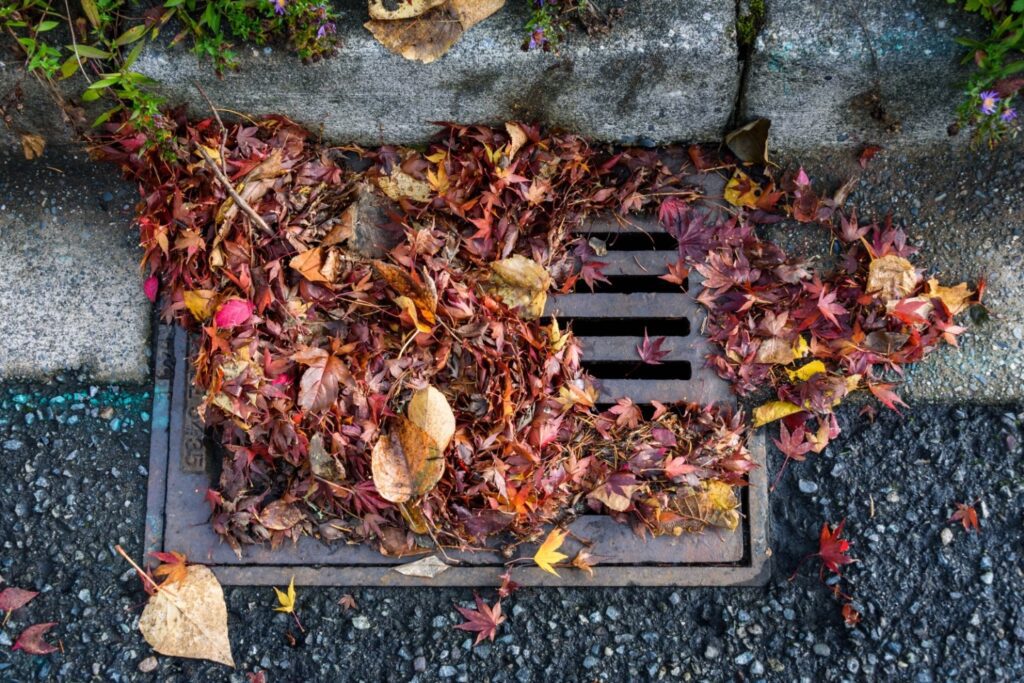 Who to Call for Clogged Storm Drain