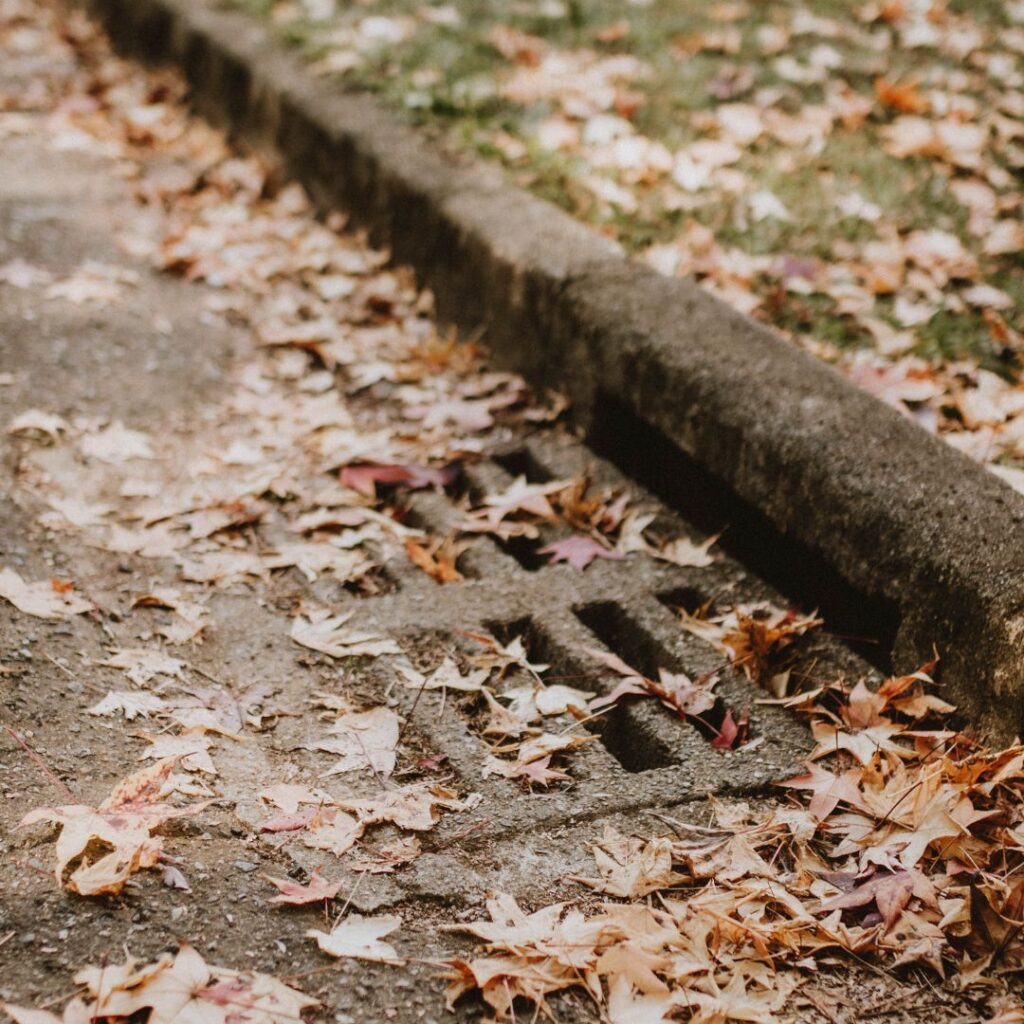 a storm drain covered in leaves