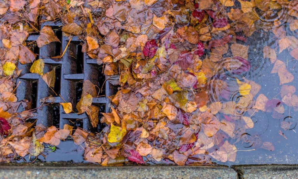 Signs Your Storm Drain Is Clogged