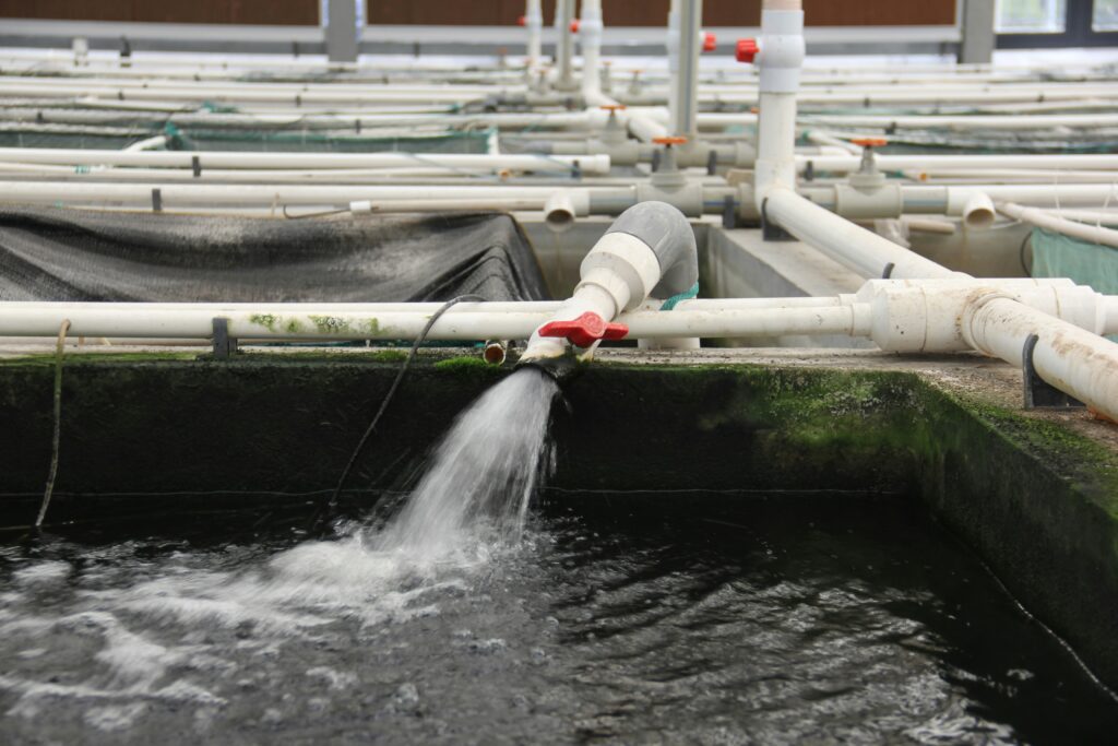 Commercial Drain Filtration